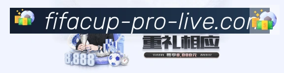 奖项4